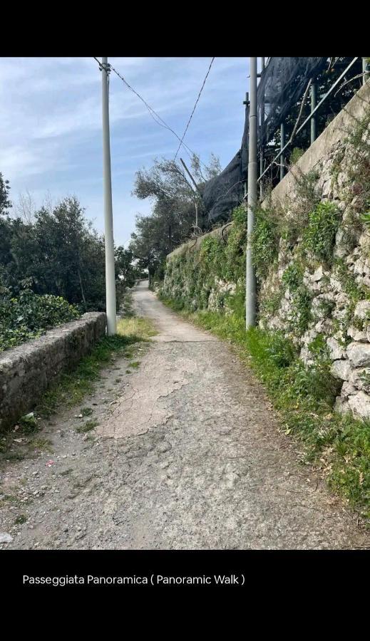 הוילה אמאלפי La Scivitella מראה חיצוני תמונה